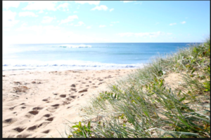 Werri Beach sand and sun